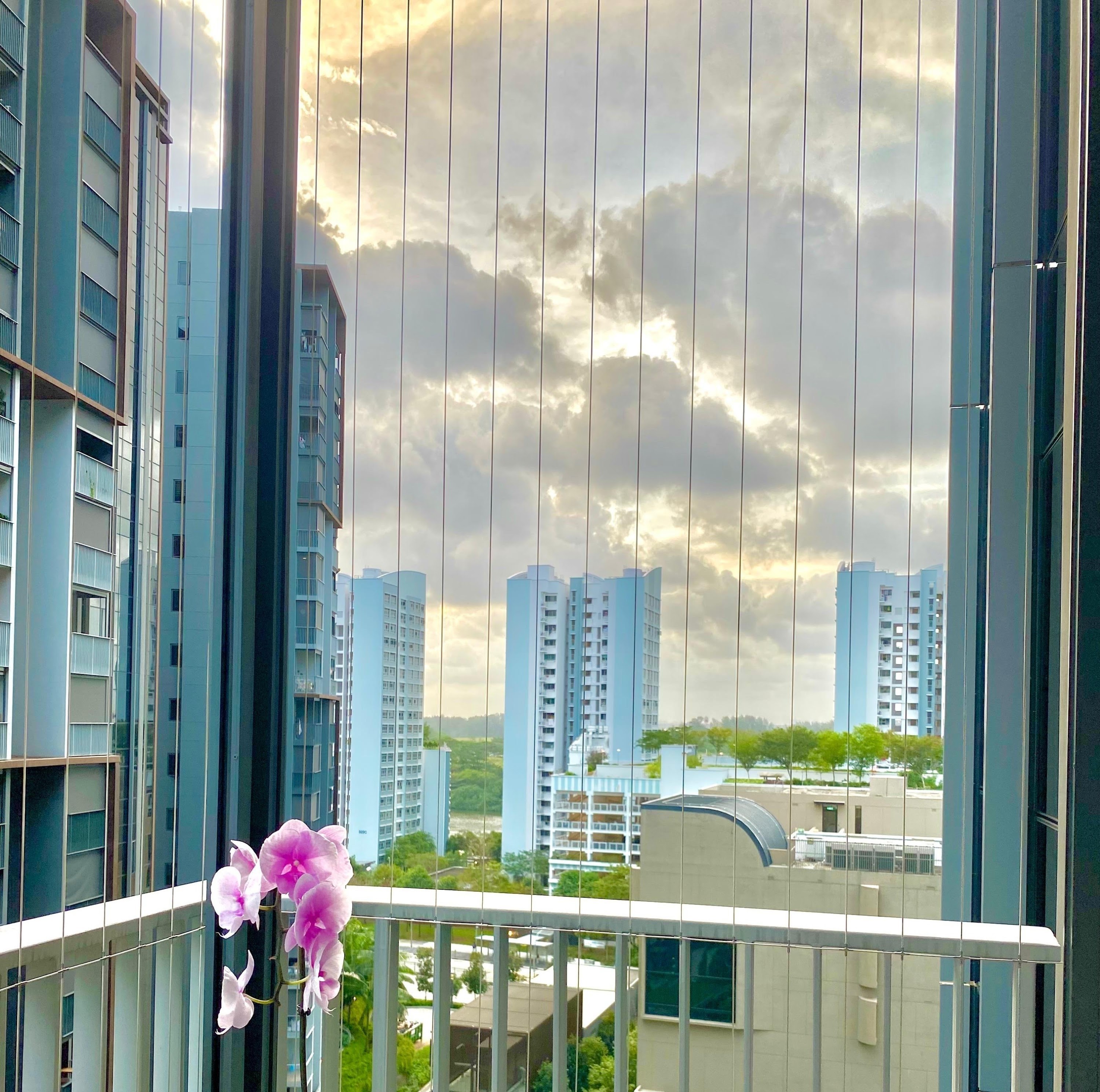 Roshini Invisible Grills